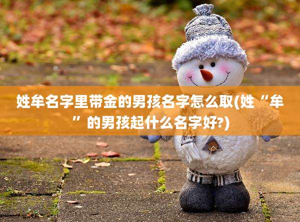 姓牟名字里带金的男孩名字怎么取(姓“牟”的男孩起什么名字好?)