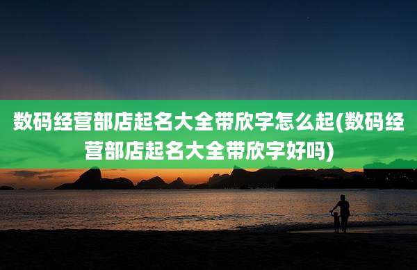 数码经营部店起名大全带欣字怎么起(数码经营部店起名大全带欣字好吗)
