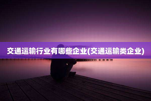 交通运输行业有哪些企业(交通运输类企业)