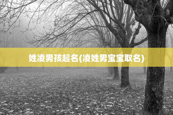 姓凌男孩起名(凌姓男宝宝取名)