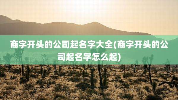 商字开头的公司起名字大全(商字开头的公司起名字怎么起)