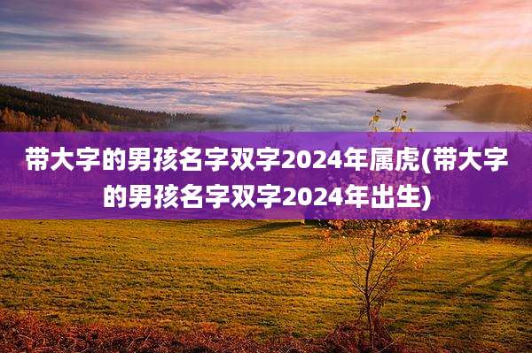 带大字的男孩名字双字2024年属虎(带大字的男孩名字双字2024年出生)