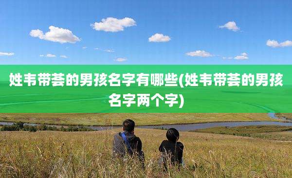 姓韦带荟的男孩名字有哪些(姓韦带荟的男孩名字两个字)