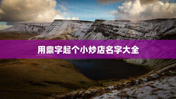 用鼎字起个小炒店名字大全