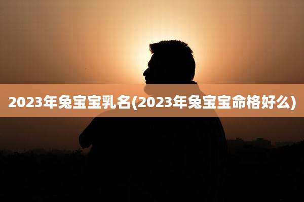 2023年兔宝宝乳名(2023年兔宝宝命格好么)