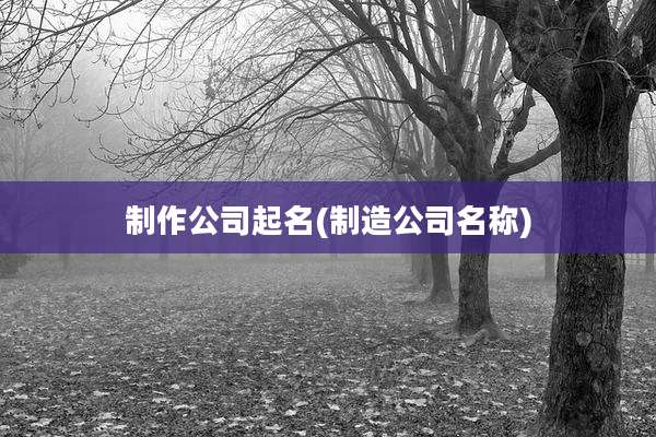 制作公司起名(制造公司名称)