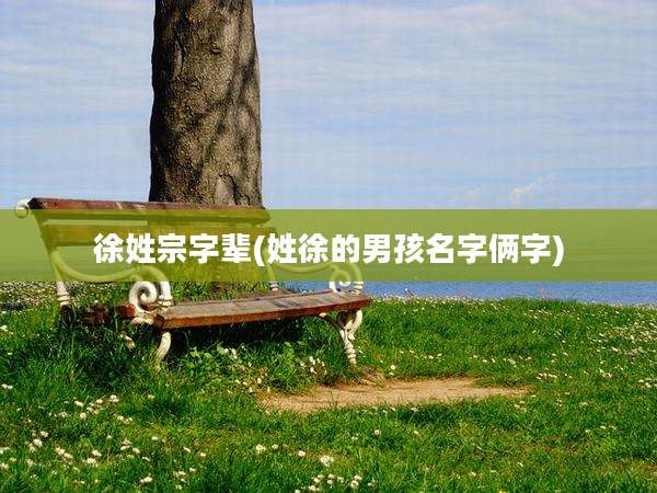 徐姓宗字辈(姓徐的男孩名字俩字)