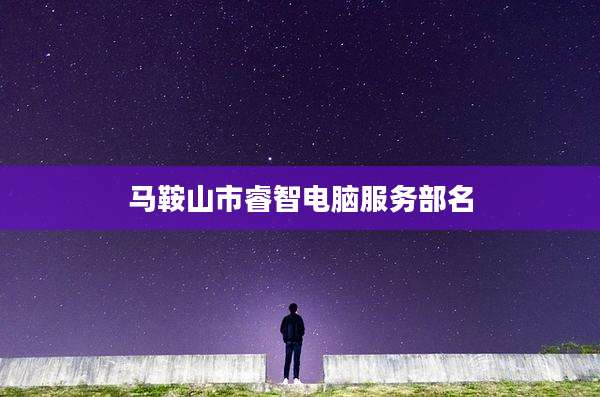 马鞍山市睿智电脑服务部名