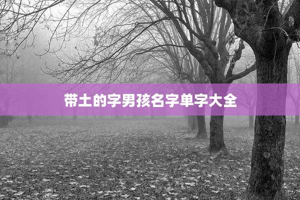 带土的字男孩名字单字大全