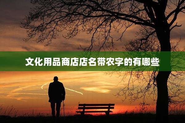 文化用品商店店名带农字的有哪些
