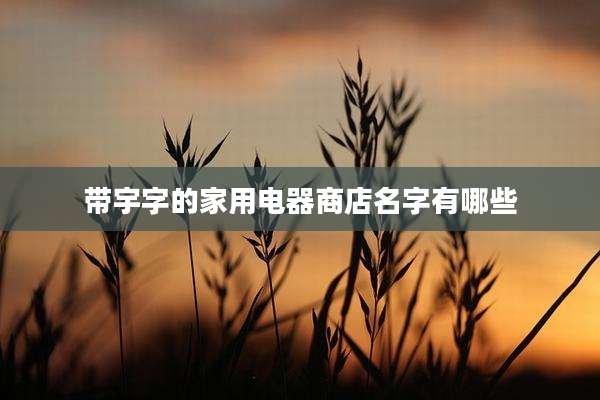 带宇字的家用电器商店名字有哪些