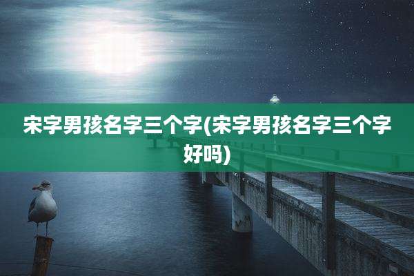 宋字男孩名字三个字(宋字男孩名字三个字好吗)