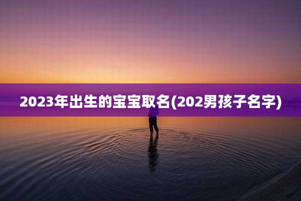 2023年出生的宝宝取名(202男孩子名字)