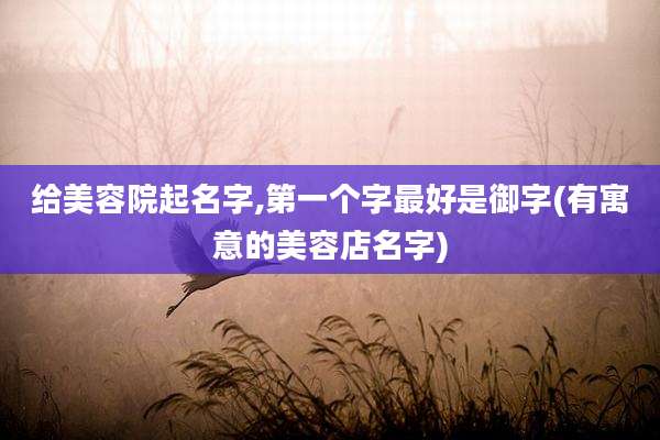 给美容院起名字,第一个字最好是御字(有寓意的美容店名字)