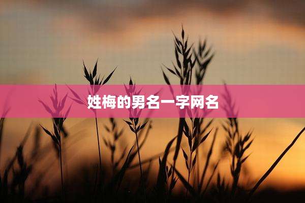 姓梅的男名一字网名