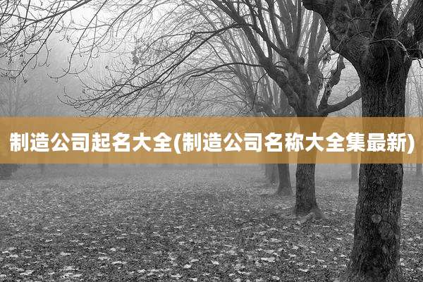 制造公司起名大全(制造公司名称大全集最新)