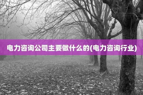 电力咨询公司主要做什么的(电力咨询行业)