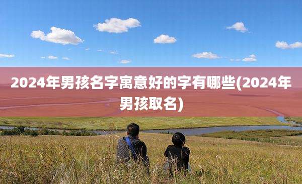 2024年男孩名字寓意好的字有哪些(2024年男孩取名)