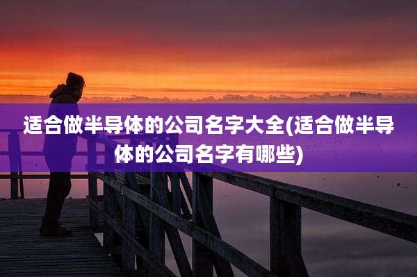 适合做半导体的公司名字大全(适合做半导体的公司名字有哪些)