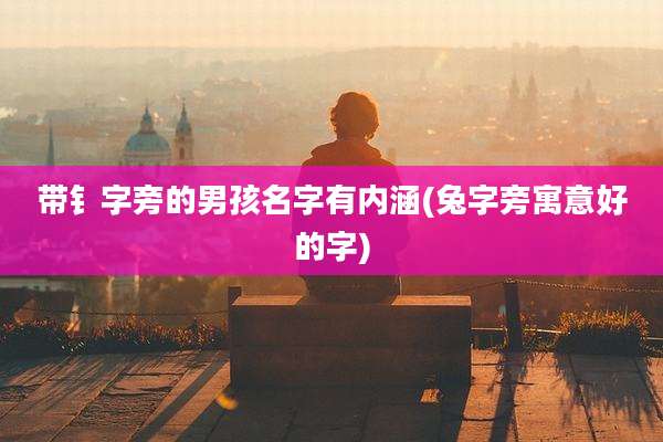 带钅字旁的男孩名字有内涵(兔字旁寓意好的字)