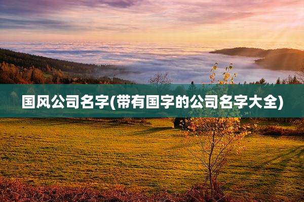 国风公司名字(带有国字的公司名字大全)