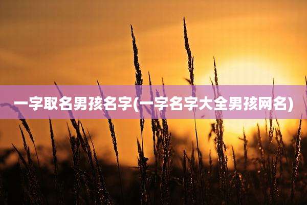 一字取名男孩名字(一字名字大全男孩网名)