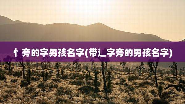 忄旁的字男孩名字(带辶字旁的男孩名字)