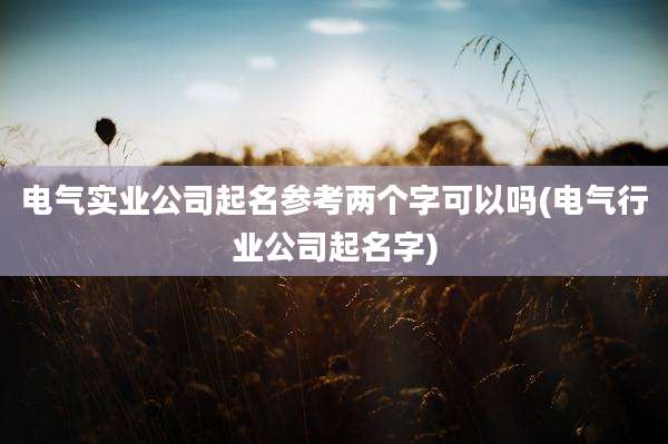 电气实业公司起名参考两个字可以吗(电气行业公司起名字)