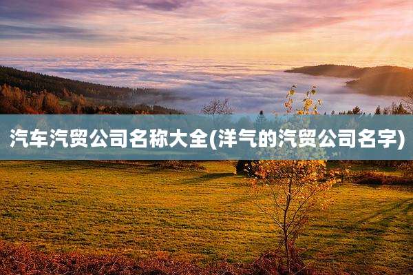 汽车汽贸公司名称大全(洋气的汽贸公司名字)