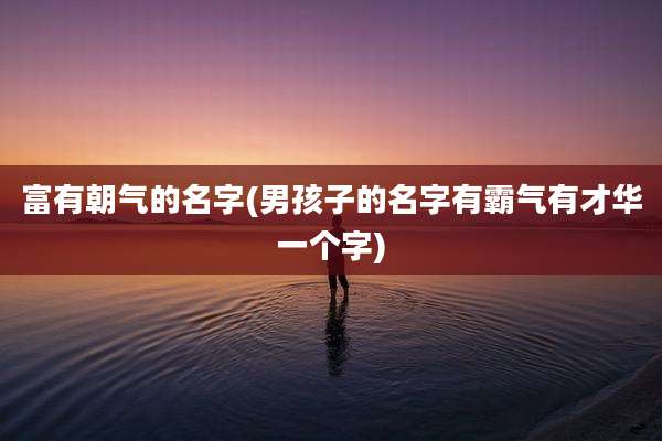 富有朝气的名字(男孩子的名字有霸气有才华一个字)