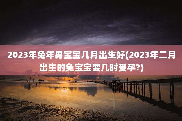 2023年兔年男宝宝几月出生好(2023年二月出生的兔宝宝要几时受孕?)