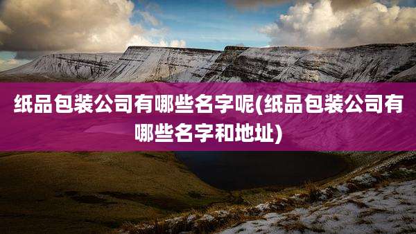 纸品包装公司有哪些名字呢(纸品包装公司有哪些名字和地址)