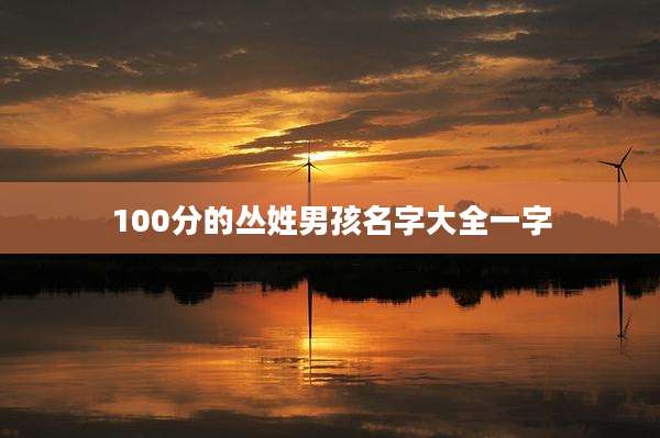 100分的丛姓男孩名字大全一字