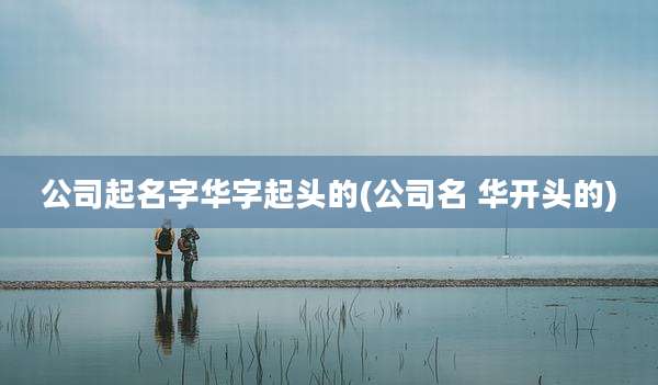 公司起名字华字起头的(公司名 华开头的)