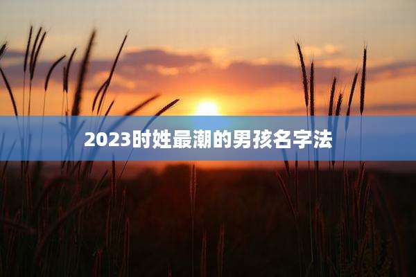 2023时姓最潮的男孩名字法
