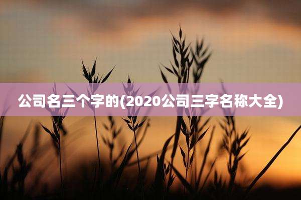 公司名三个字的(2020公司三字名称大全)