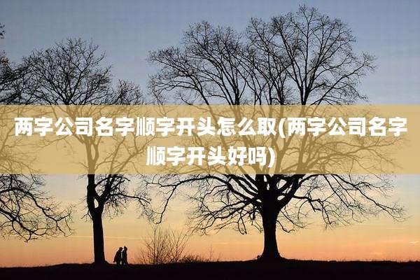两字公司名字顺字开头怎么取(两字公司名字顺字开头好吗)