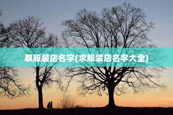 取服装店名字(求服装店名字大全)