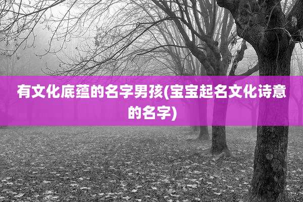 有文化底蕴的名字男孩(宝宝起名文化诗意的名字)