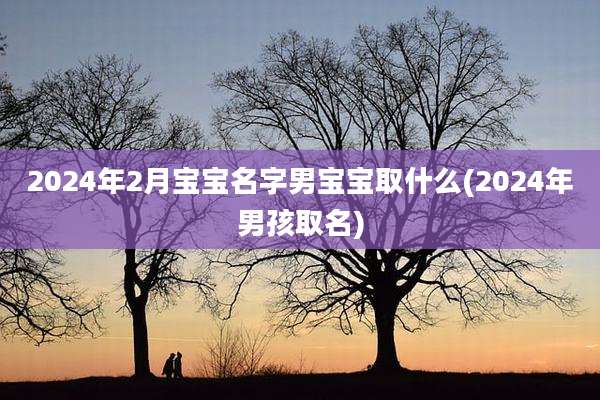 2024年2月宝宝名字男宝宝取什么(2024年男孩取名)