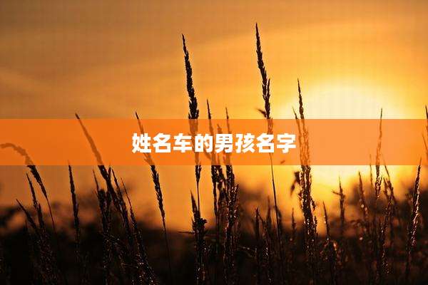 姓名车的男孩名字