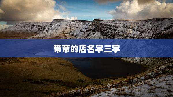 带帝的店名字三字