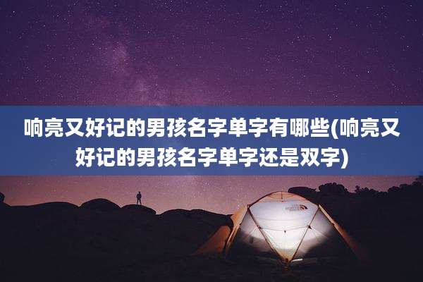 响亮又好记的男孩名字单字有哪些(响亮又好记的男孩名字单字还是双字)