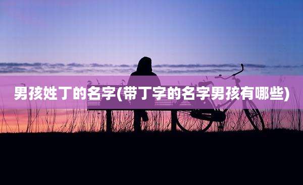 男孩姓丁的名字(带丁字的名字男孩有哪些)