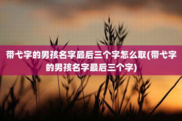 带弋字的男孩名字最后三个字怎么取(带弋字的男孩名字最后三个字)