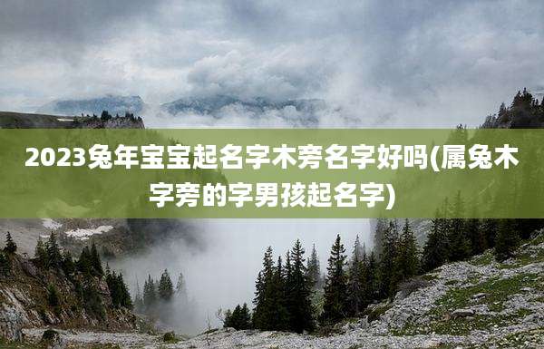2023兔年宝宝起名字木旁名字好吗(属兔木字旁的字男孩起名字)