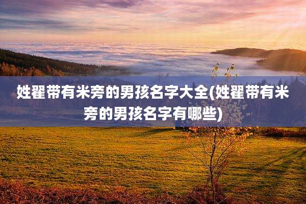 姓翟带有米旁的男孩名字大全(姓翟带有米旁的男孩名字有哪些)