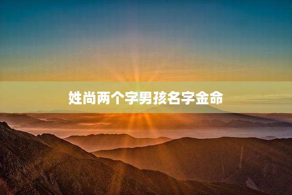 姓尚两个字男孩名字金命