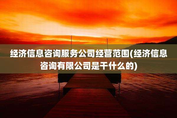 经济信息咨询服务公司经营范围(经济信息咨询有限公司是干什么的)