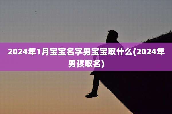 2024年1月宝宝名字男宝宝取什么(2024年男孩取名)